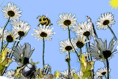 Escarabajo y abeja