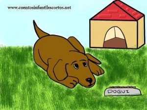 Cuentos cortos - Dogui el perro tranquilizador