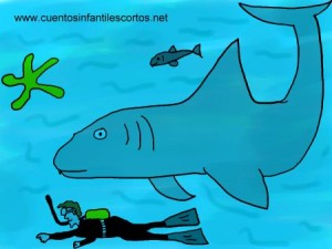 Cuentos cortos - el tiburon bueno de la playa