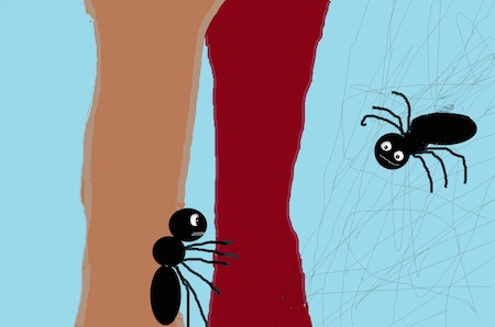 cuentos-infantiles-cortos-la-hormiga-y-la-araña